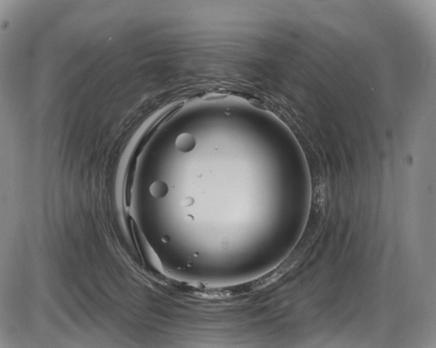 X0000086300662200703301203