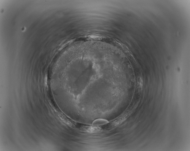 X0000086300663200703301203