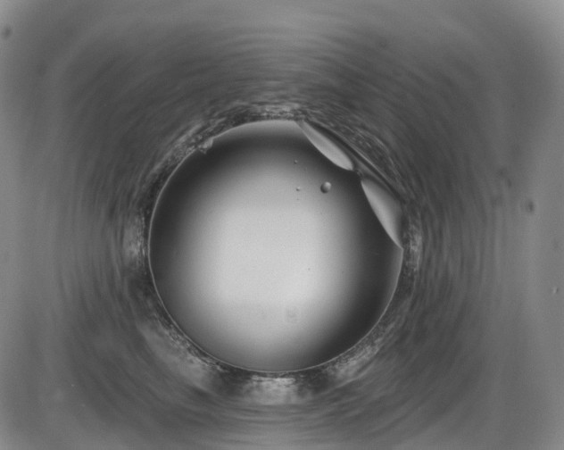 X0000086300665200703301203