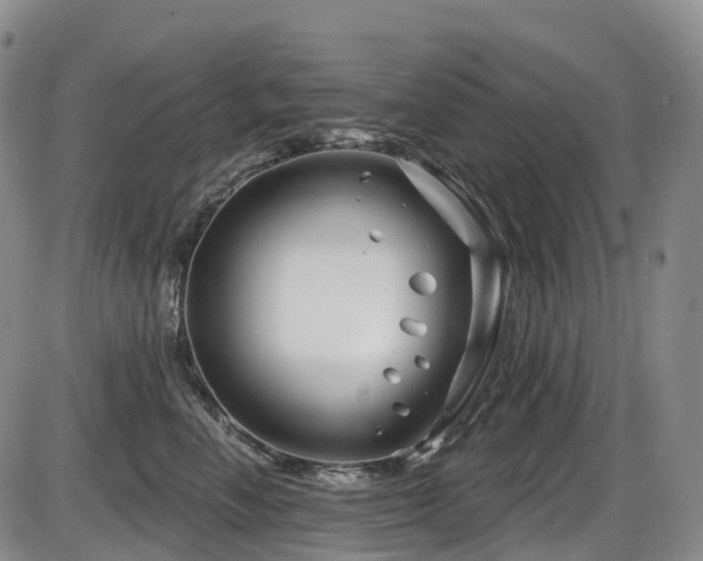 X0000086300666200703301203