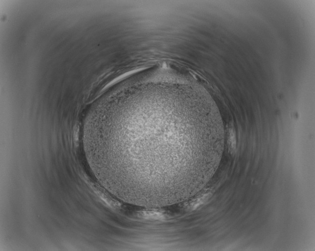 X0000086300668200703301203