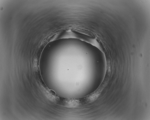 X0000086300670200703301203