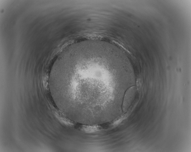X0000086300671200703301203