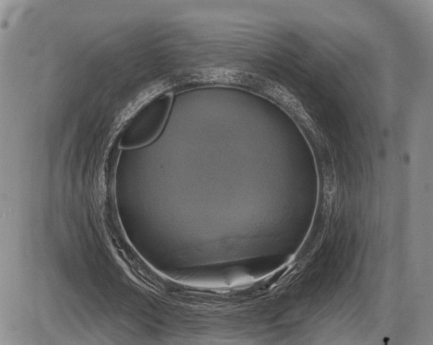 X0000086300674200703301203