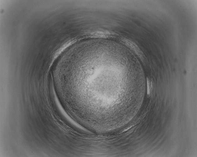 X0000086300675200703301203