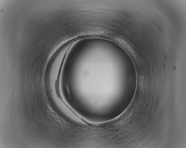 X0000086300676200703301203