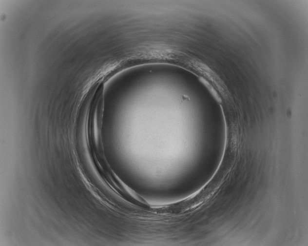 X0000086300677200703301203