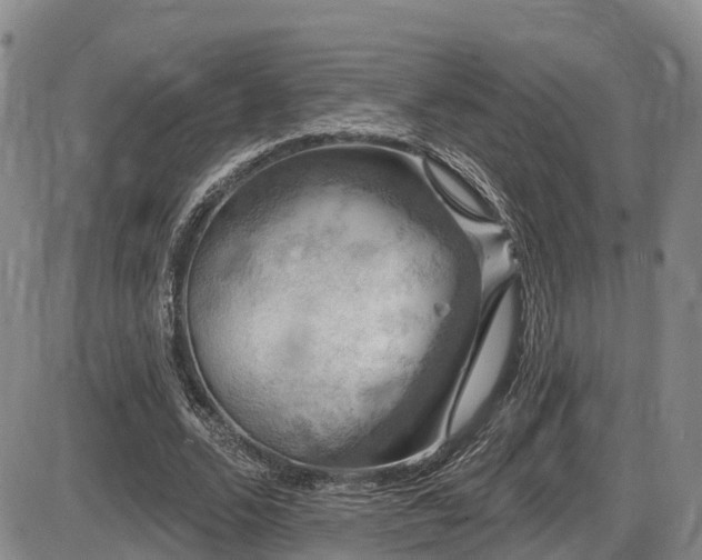 X0000086300680200703301202