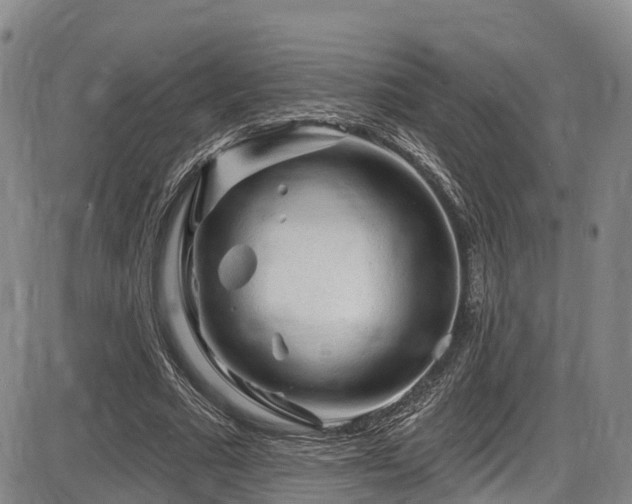 X0000086300681200703301202