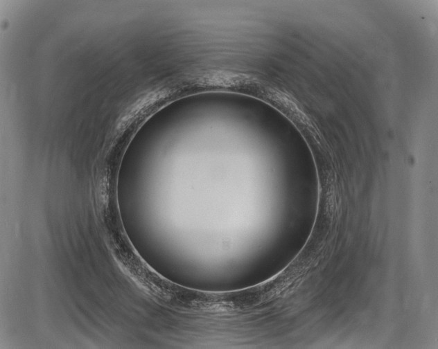 X0000086300683200703301202