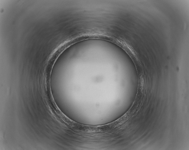 X0000086300684200703301202