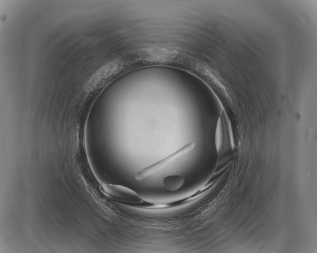 X0000086300685200703301202