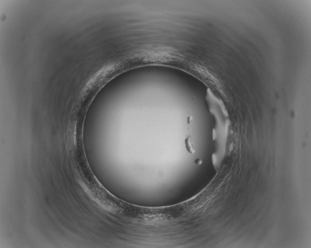 X0000086300686200703301202