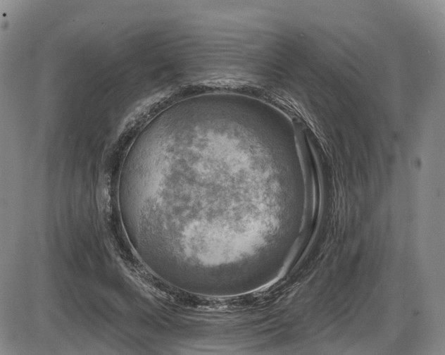 X0000086300688200703301202