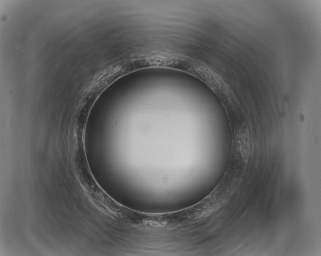 X0000086300690200703301202