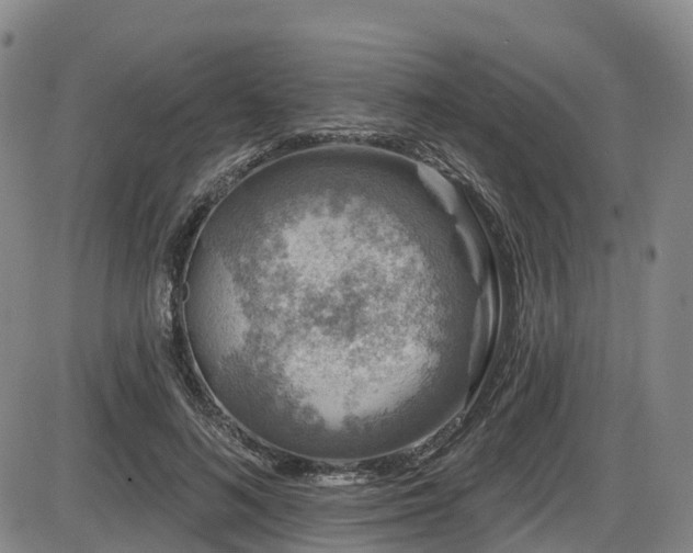 X0000086300692200703301202