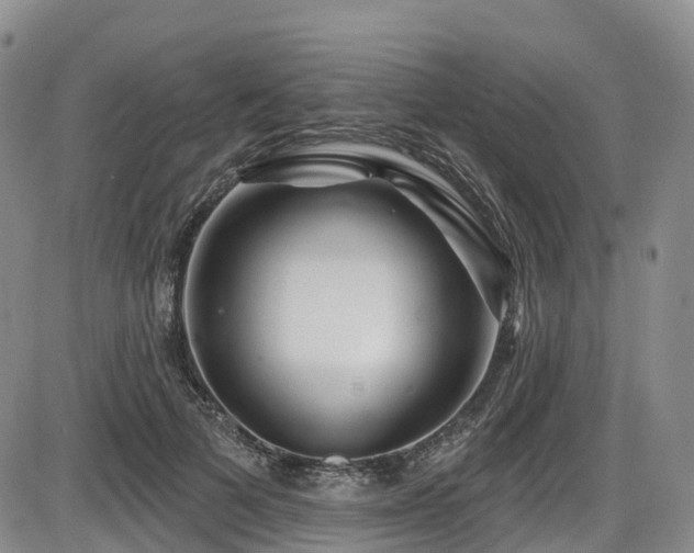 X0000086300697200703301202