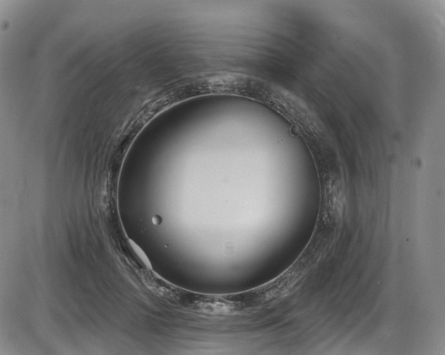 X0000086300698200703301202