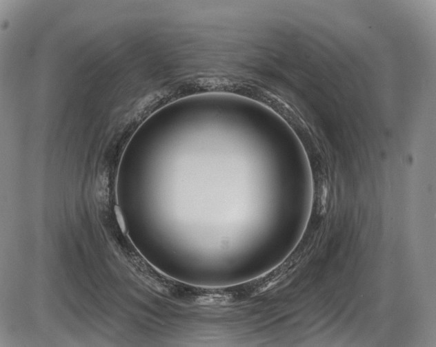 X0000086300700200703301202