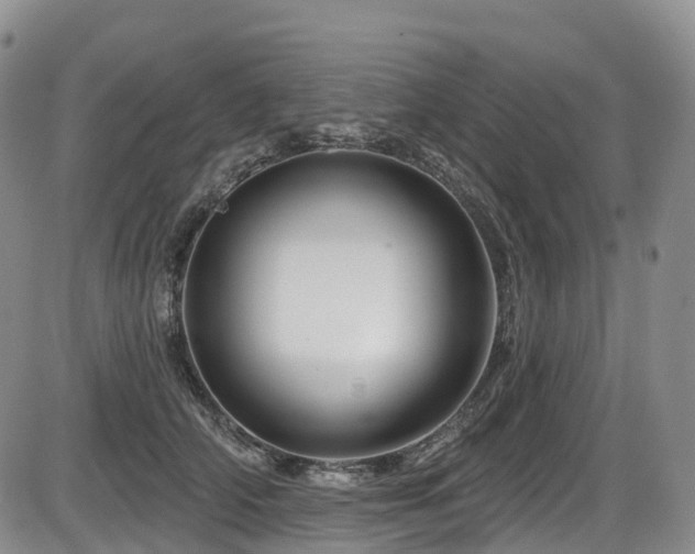 X0000086300706200703301202