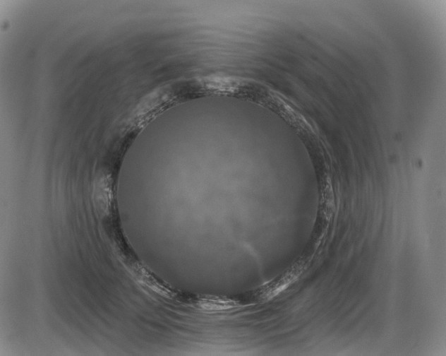 X0000086300707200703301202
