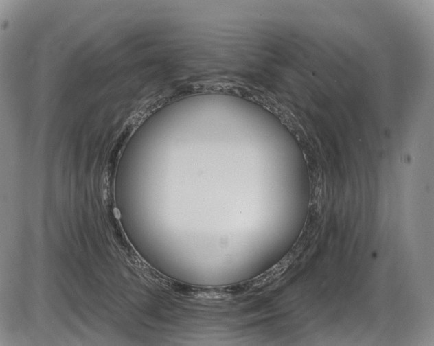 X0000086300708200703301202