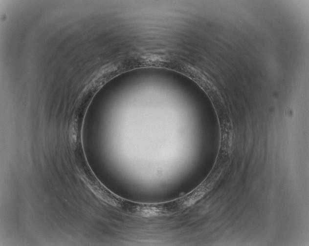 X0000086300710200703301202