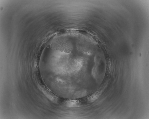 X0000086300711200703301202