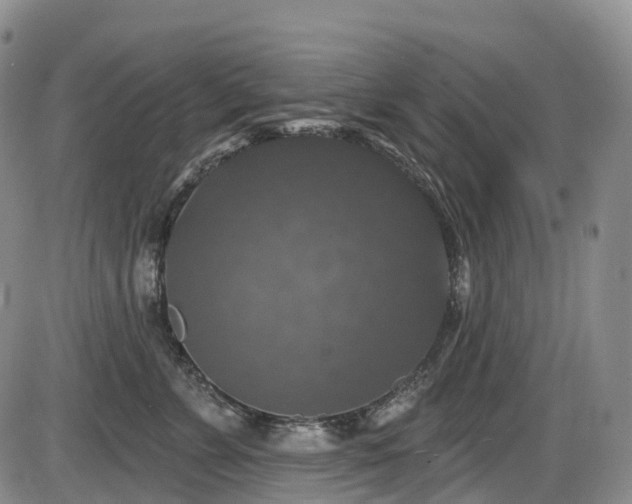 X0000086300715200703301202