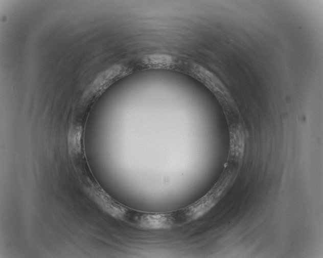 X0000086300717200703301202