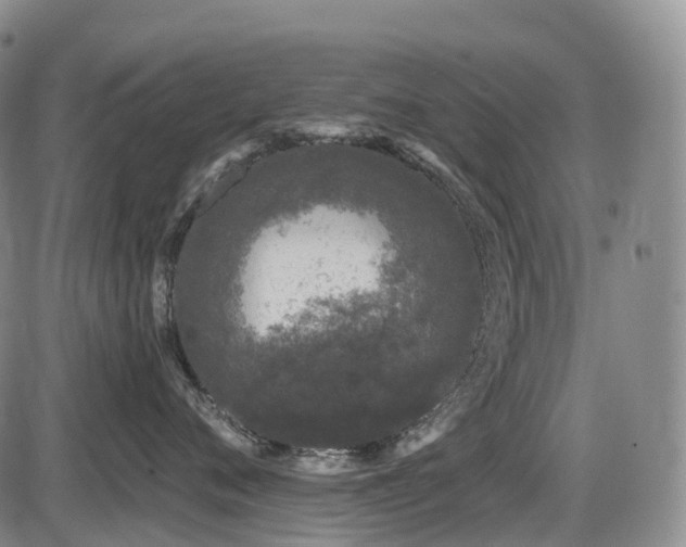 X0000086300720200703301202