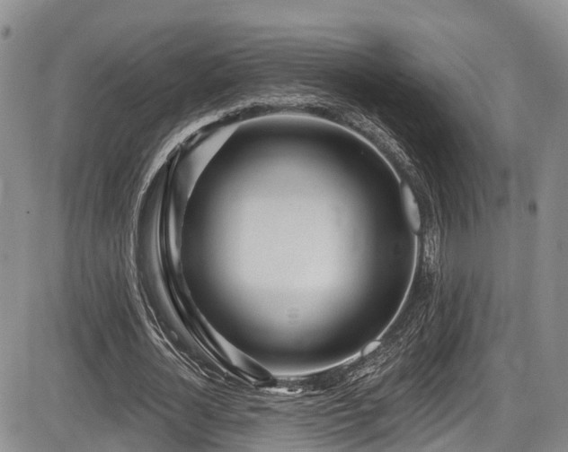 X0000086300724200703301201
