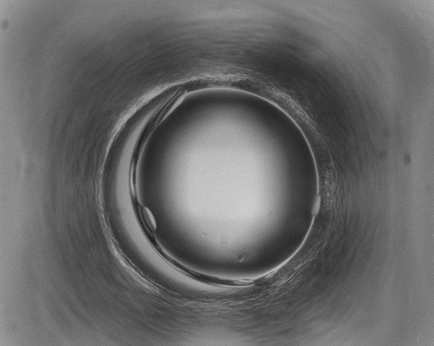 X0000086300726200703301201