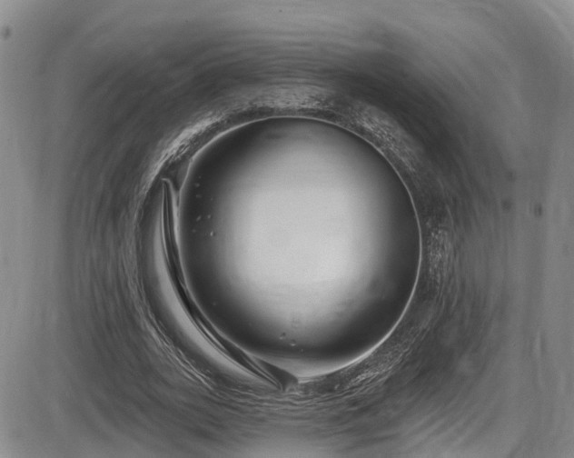 X0000086300727200703301201