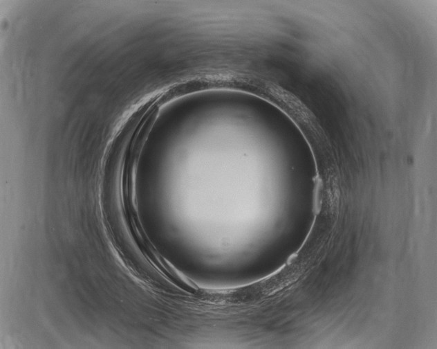 X0000086300728200703301201