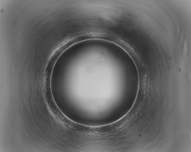 X0000086300730200703301201