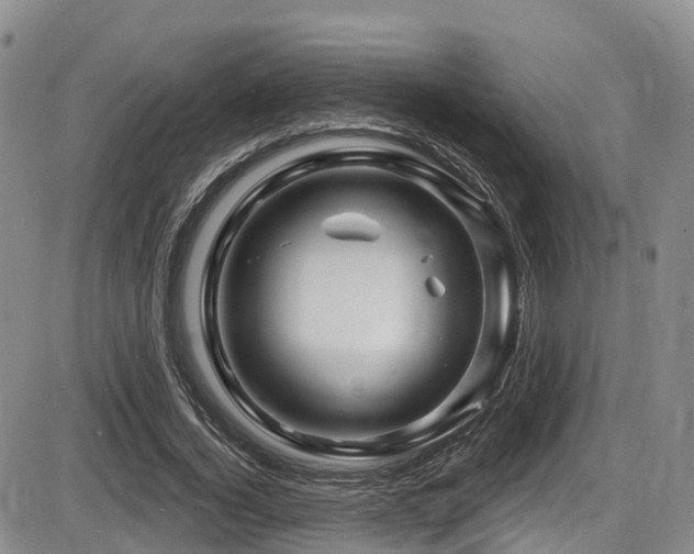 X0000086300732200703301201