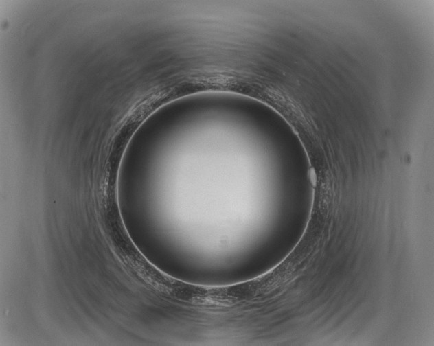 X0000086300739200703301201