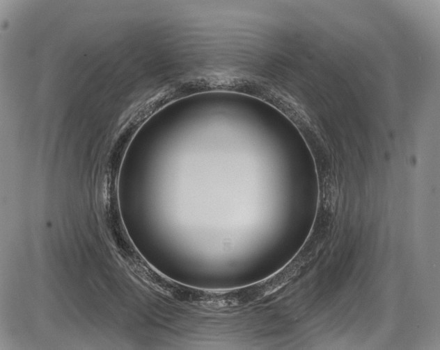 X0000086300740200703301201