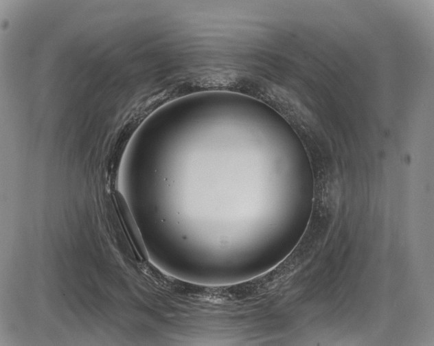 X0000086300743200703301201