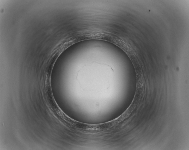 X0000086300744200703301201