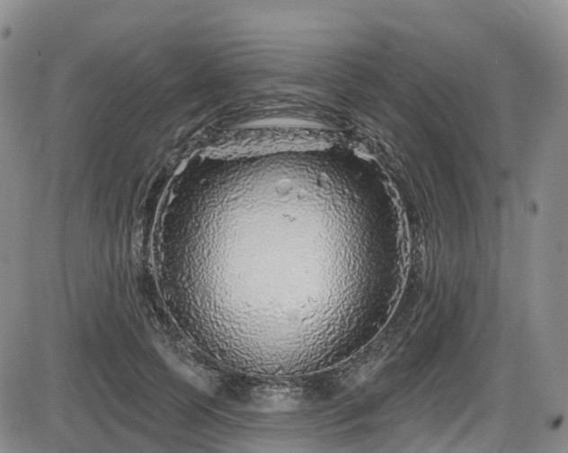 X0000086300745200703301201