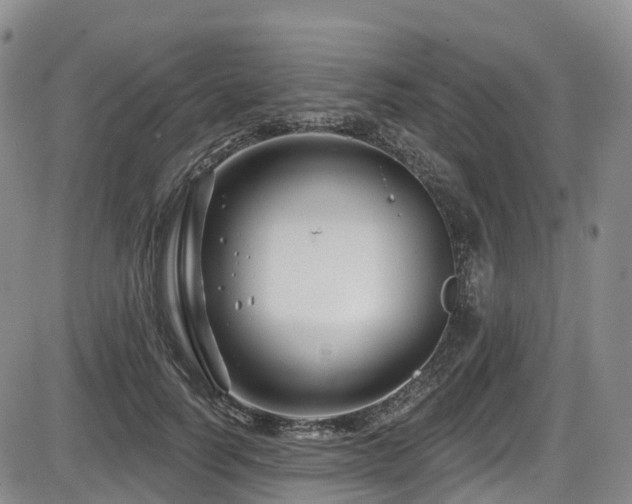 X0000086300746200703301201