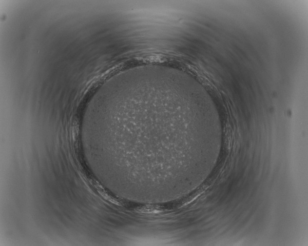 X0000086300747200703301201