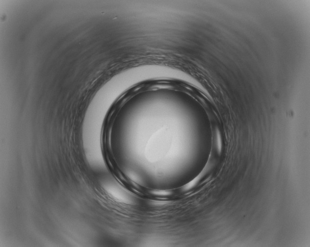 X0000086300750200703301201
