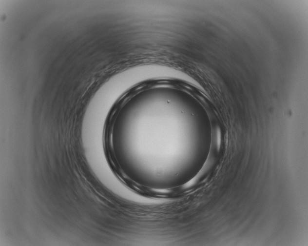 X0000086300752200703301201