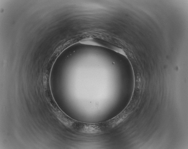 X0000086300753200703301201