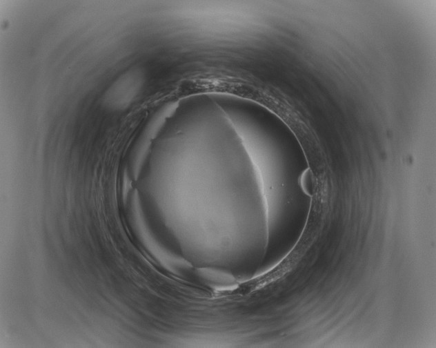 X0000086300754200703301201
