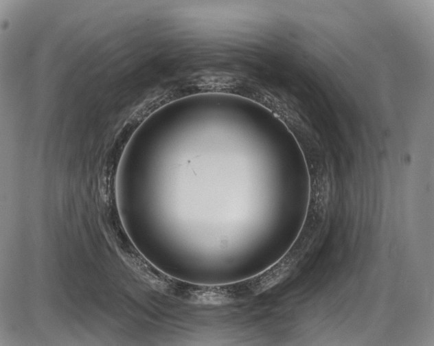 X0000086300755200703301201