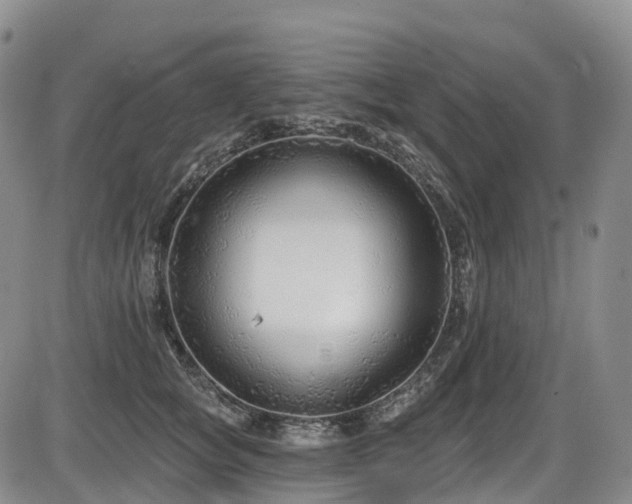 X0000086300757200703301202